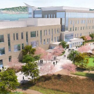 Vineyard Comprehensive Cancer Center